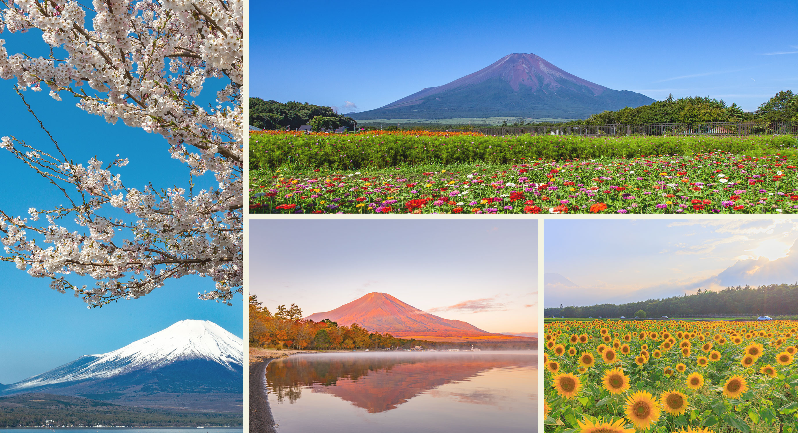 A time when you can feel the changing seasons surrounded by Mt. Fuji and the surface of the lake.