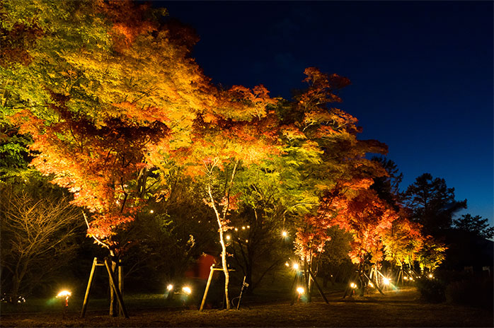 旭日丘湖畔緑地公園